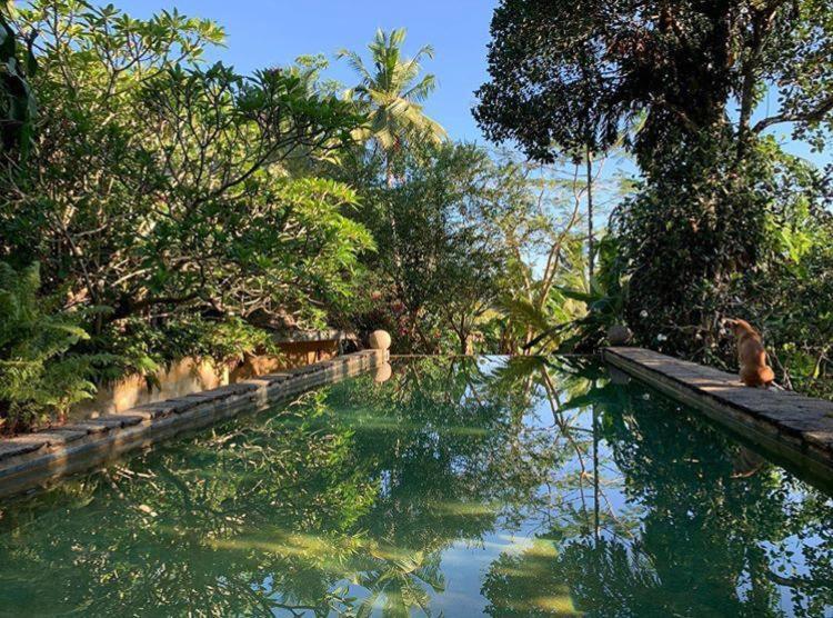 Sri Yoga Shala Bed and Breakfast Unawatuna Exterior foto